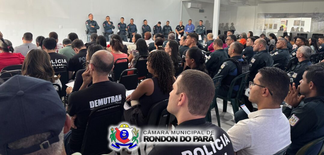 Implementação do Programa Pró Mulher Pará
