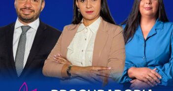 PROCURADORIA DA MULHER